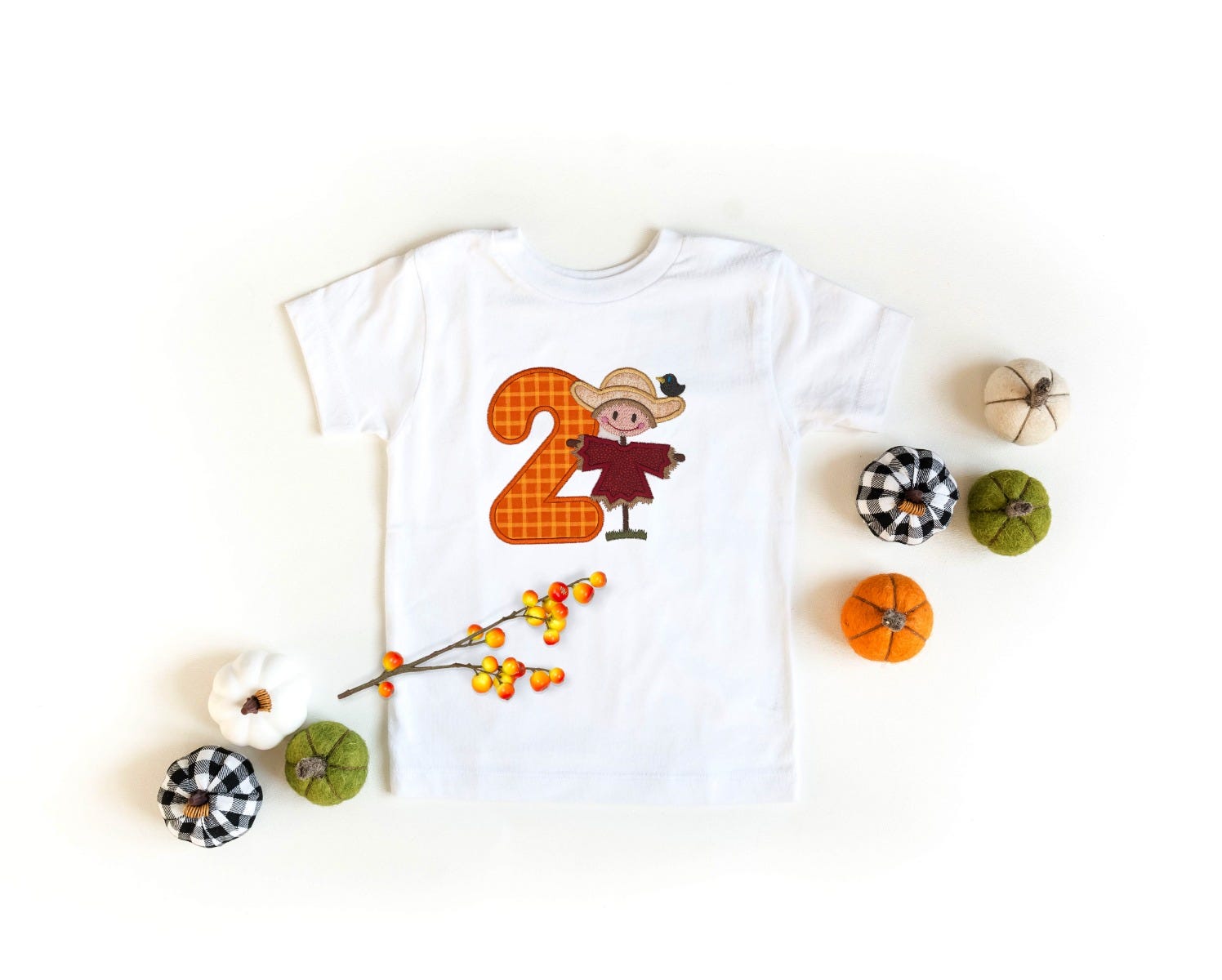 Scarecrow Boy Applique Numbers | Machine Embroidery Designs by JuJu