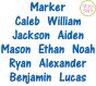 Marker Embroidery Font | Machine Embroidery Designs by JuJu