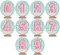 Snowglobe Numbers | Machine Embroidery Designs by JuJu