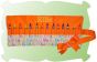 Crayon Roll In The Hoop | Machine Embroidery Designs by JuJu