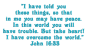 John 16:33