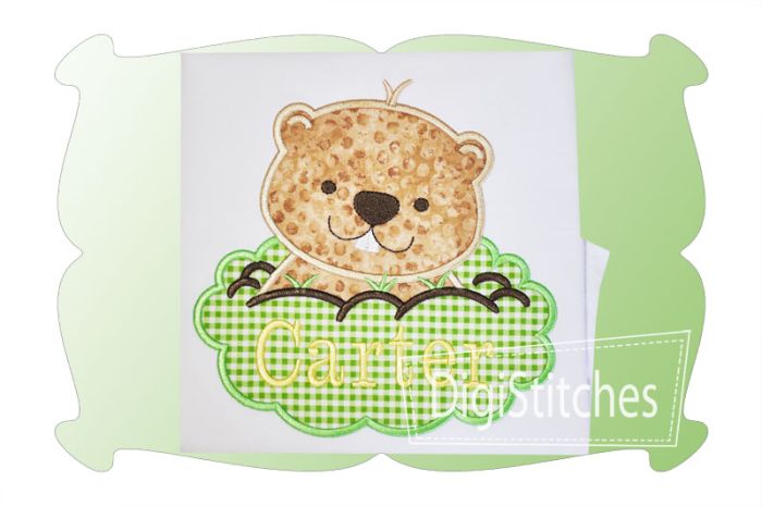 Groundhog Boy Applique | Machine Embroidery Designs by JuJu