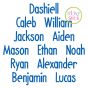 Dashiell Embroidery Font | Machine Embroidery Designs by JuJu