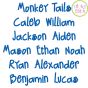 Monkey Tails Embroidery Font | Machine Embroidery Designs by JuJu