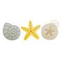 Seashell Trio Sketch | Machine Embroidery Designs by JuJu