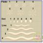 Snow Globe Blank Embroidery | Machine Embroidery Designs by JuJu