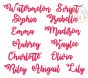 Watermelon Script Embroidery Font