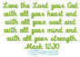 Mark 12:30