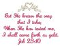 Job 23:10