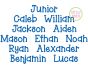 Junior Embroidery Font | Machine Embroidery Designs by JuJu