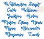 Watermelon Script Embroidery Font