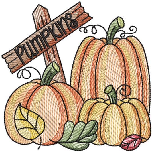 Autumn Pumpkins Sketch | Machine Embroidery Designs by JuJu	