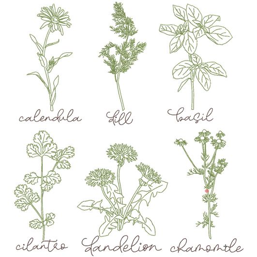 Herbal Redwork 1 | Machine Embroidery Designs by JuJu
