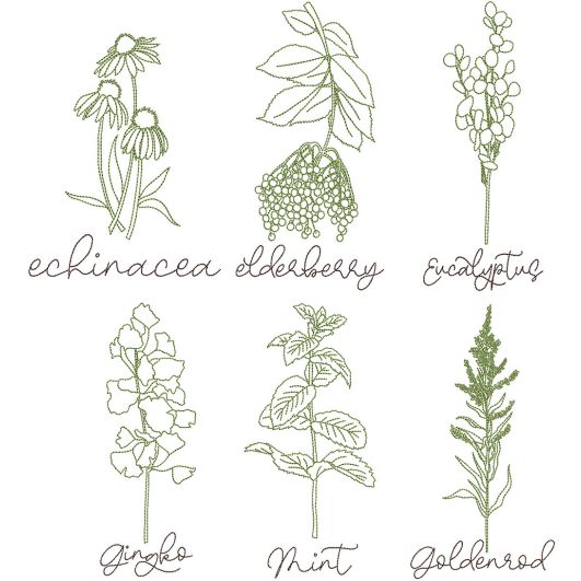 Herbal Redwork 2 | Machine Embroidery Designs by JuJu