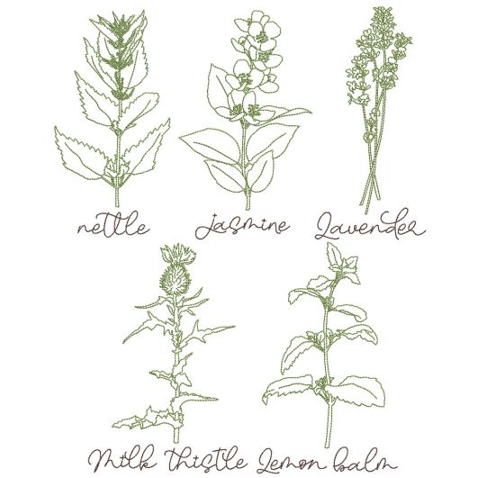 Herbal Redwork 3 | Machine Embroidery Designs by JuJu