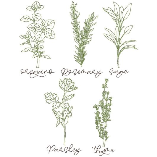 Herbal Redwork 4 | Machine Embroidery Designs by JuJu