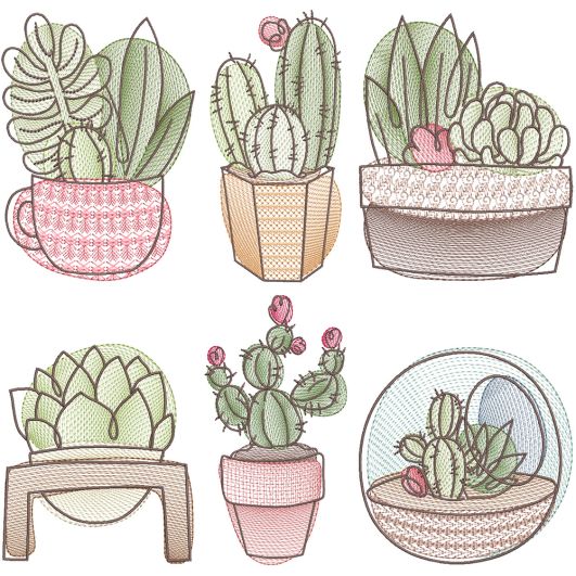 Sketch Succulents Digital Machine Embroidery Designs by JuJu