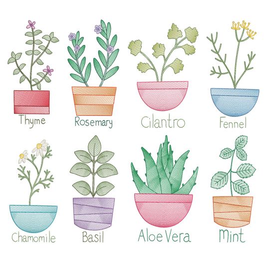 Vintage Sketch Herbs 1 Machine Embroidery Designs By JuJu