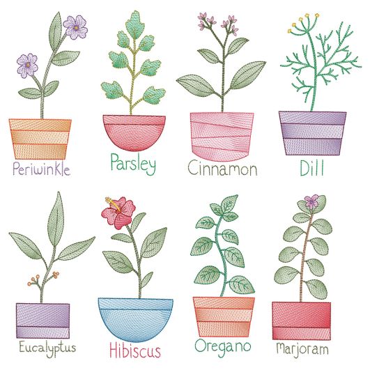 Vintage Sketch Herbs 2 Machine Embroidery Designs By JuJu
