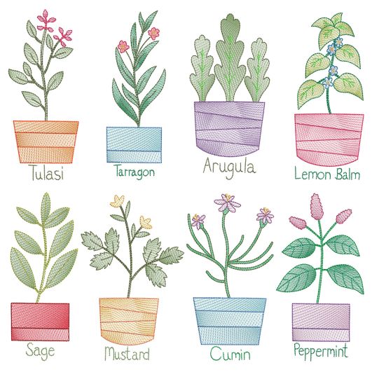 Vintage Sketch Herbs 4 Machine Embroidery Designs by JuJu