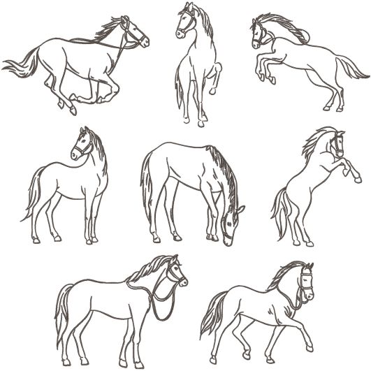 Horse Sketches Machine Embroidery Designs by JuJu