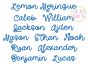 Lemon Meringue Embroidery Font | Machine Embroidery Designs by JuJu