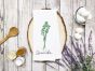 Herbal Redwork 3 | Machine Embroidery Designs by JuJu