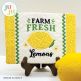 Farm Fresh Mug Rug  - Lemon by Oma's Place | Machine Embroidery Designs by JuJu