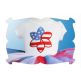 Patriotic Flower Applique | Machine Embroidery Designs by JuJu