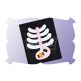 Ribcage and Stomach Applique | Machine Embroidery Designs by JuJu