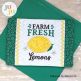 Farm Fresh Mug Rug  - Lemon by Oma's Place | Machine Embroidery Designs by JuJu