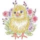 Elegant Easter Chick Vintage Sketch | Machine Embroidery Designs by JuJu