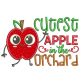 Fall Autumn Harvest Sayings Word Art Machine Embroidery Designs by JuJu
