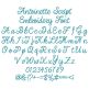 Antoinette Script Embroidery Font | Machine Embroidery Designs by JuJu