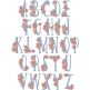 Dogwood Alphabet | Machine Embroidery Designs by JuJu