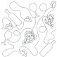 Wine and Grapes End-to-End Quilting Machine Embroidery Pattern Designs by JuJu for Edge to Edge Continuous Line Allover E2E Quilting With Your Embroidery Machine