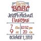 Farm Baby Birth Announcement Template Machine Embroidery Designs by JuJu