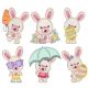 Funny Bunny Applique Machine Embroidery Designs by JuJu 