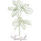 Herbal Redwork 1 | Machine Embroidery Designs by JuJu
