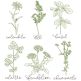 Herbal Redwork 1 | Machine Embroidery Designs by JuJu