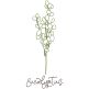 Herbal Redwork 2 | Machine Embroidery Designs by JuJu
