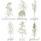 Herbal Redwork 2 | Machine Embroidery Designs by JuJu