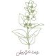 Herbal Redwork 3 | Machine Embroidery Designs by JuJu
