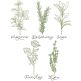 Herbal Redwork 4 | Machine Embroidery Designs by JuJu