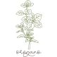 Herbal Redwork 4 | Machine Embroidery Designs by JuJu