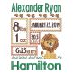 Lion Birth Announcement Template Machine Embroidery Designs by JuJu