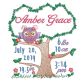 Owl Birth Announcement Template Machine Embroidery Designs by JuJu