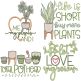 Plant Lovers 8 | Machine Embroidery Designs by JuJu