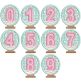Snowglobe Numbers | Machine Embroidery Designs by JuJu