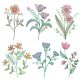 Vintage Botanicals Machine Embroidery Designs by JuJu